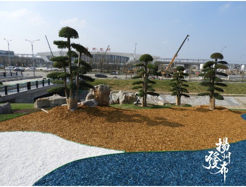 廊坊最大绿化苗市场在哪里